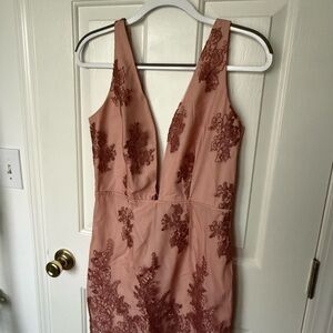 Tobi Blush Lace Plunge Dress